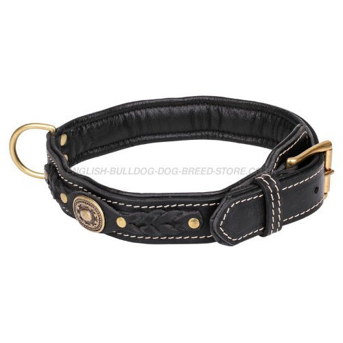 Cool Dog Collars for Bulldogs