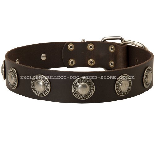 Cool Dog Collar for Bullmastiff UK