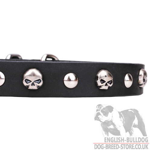 Cool English Bulldog Collars