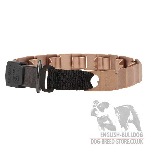 Curogan Dog Collar