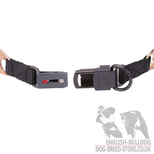 Curogan Dog Collar UK