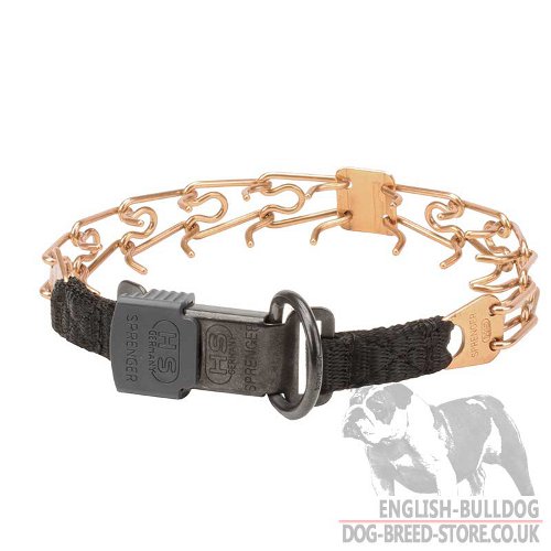 Curogan Prong Collar