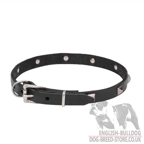Custom Leather Dog Collars for Bulldogs