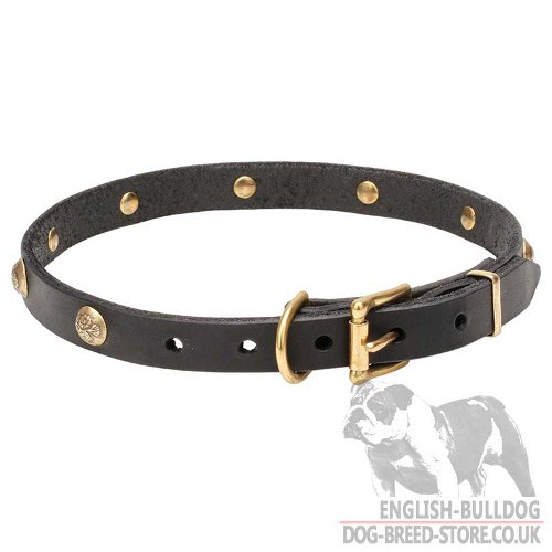 Cute Dog Collar