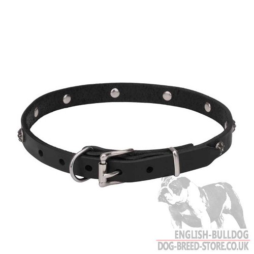 Cute Dog Collar for Bulldog UK