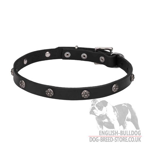 Cute Dog Collar UK