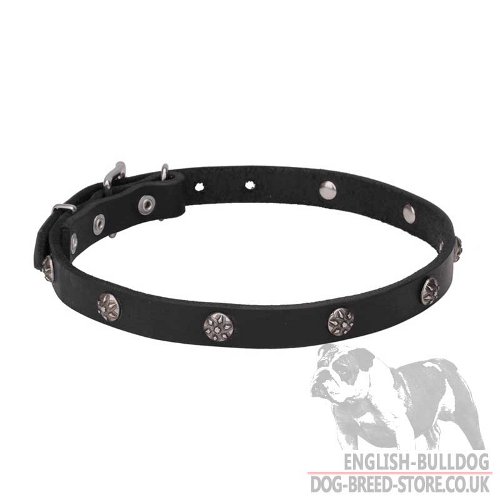 Cute Dog Collars UK