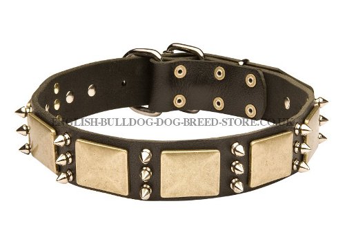 Decorated Dog Collar for Bullmastiff UK