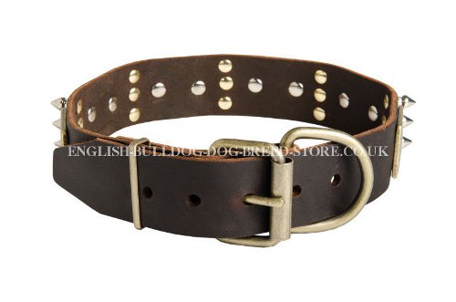 Decorated Leather Dog Collar UK for Bullmastiff