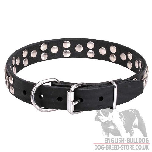 Deluxe Dog Collar UK for Bulldog