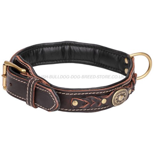 Designer Dog Collars for Bulldogs