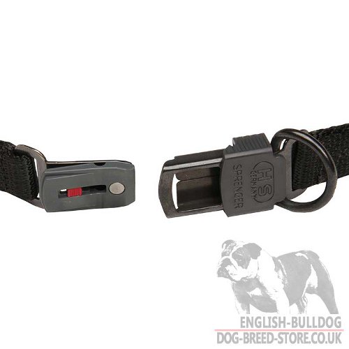 Dog Behavior Collar