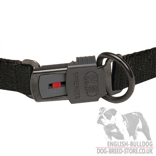 Dog Behaviour Collars UK