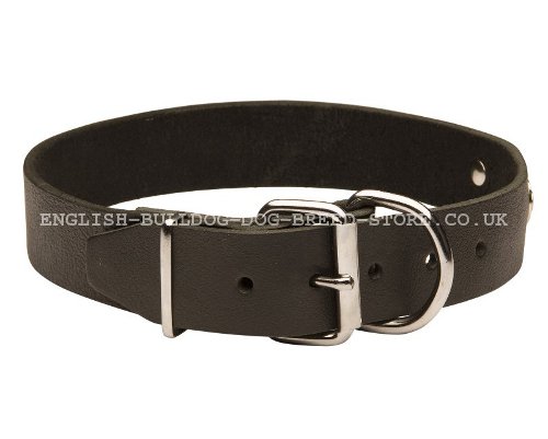 Dog Collar Name Plate UK for Bullmastiff