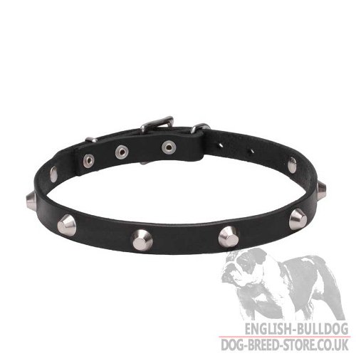 Dog Collar Necklace UK