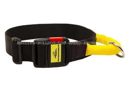 Dog Collar with Handle Nylon