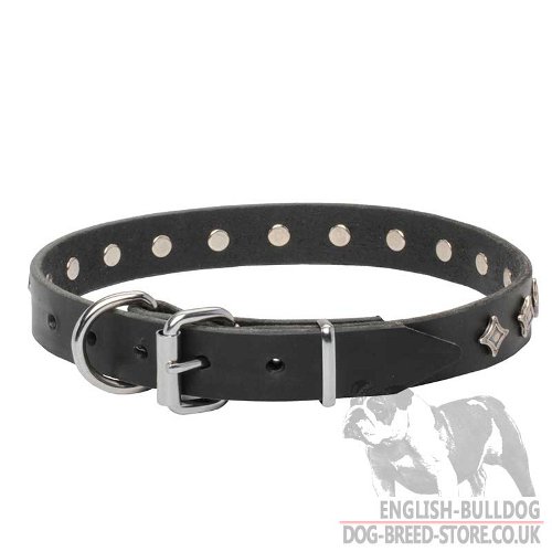 Dog Collar Stars