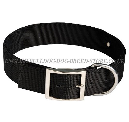 Dog Collar with Nameplate UK, Nylon