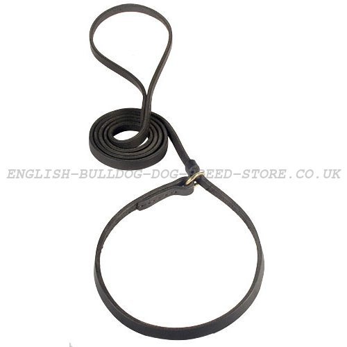 Dog Leash Choke Collar