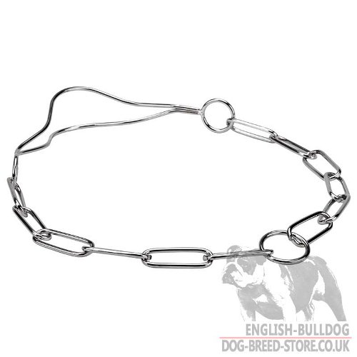 Dog Show Collar for Bulldog