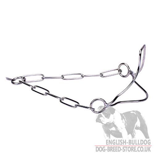 Dog Show Collar UK