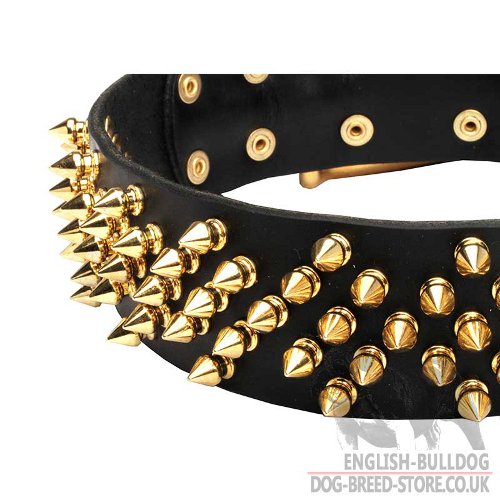 English Bulldog Spiked Collar