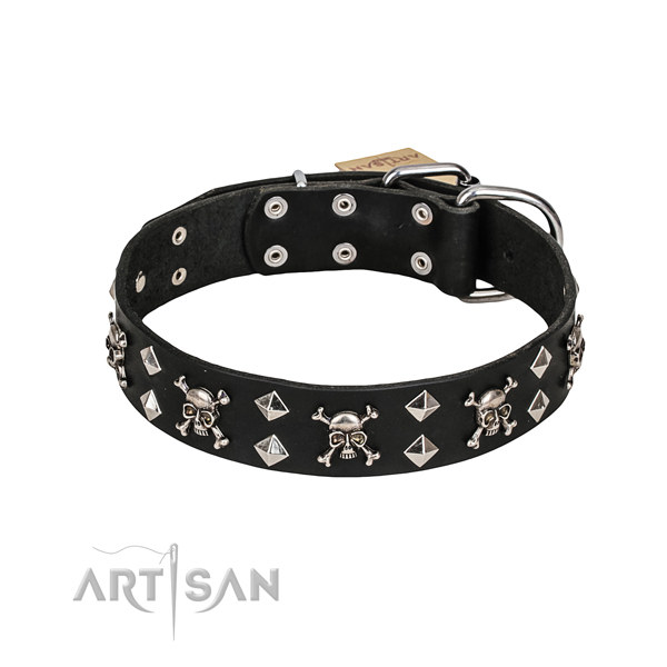 English Bulldog Collar