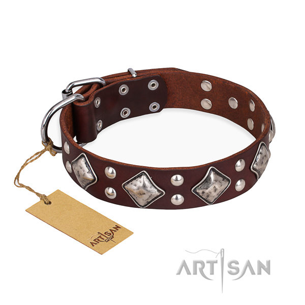 English Bulldog Collar