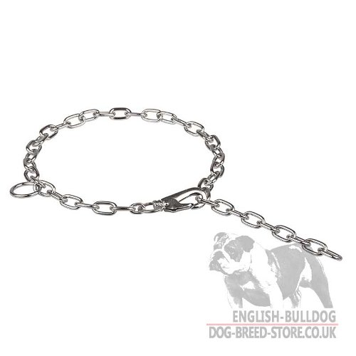 English Bulldog Collar, Chain with Snap Hook