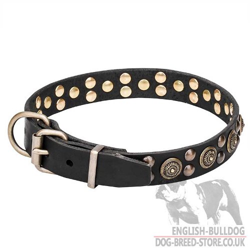 English Bulldog Collar for Sale