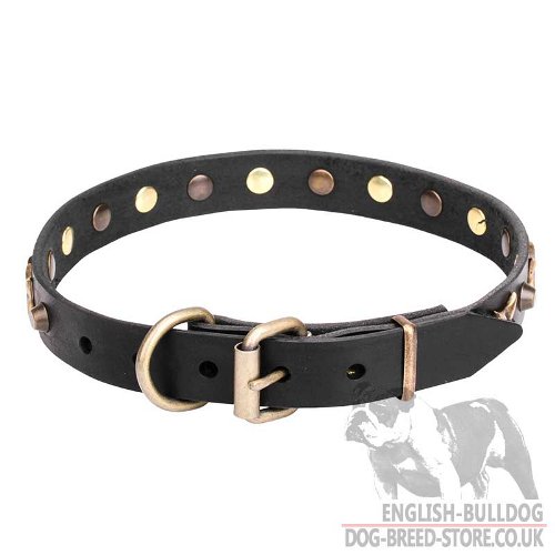 English Bulldog Collar for Sale