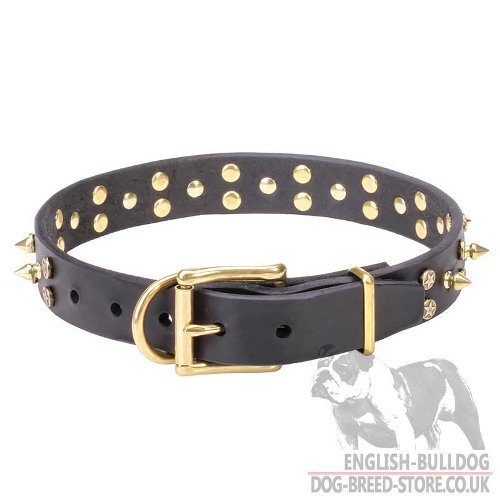 English Bulldog Collar for Sale