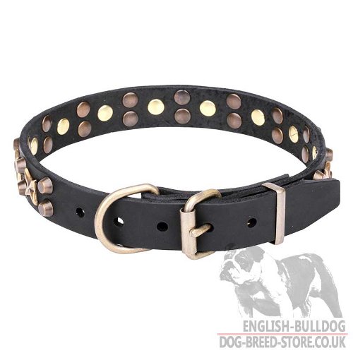 English Bulldog Collar for Sale