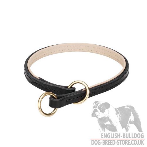 English Bulldog Collar for Training