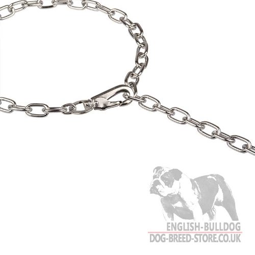 English Bulldog Collar UK, Fur Saver with Snap Hook