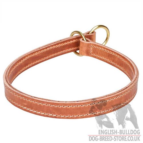 English Bulldog Collar