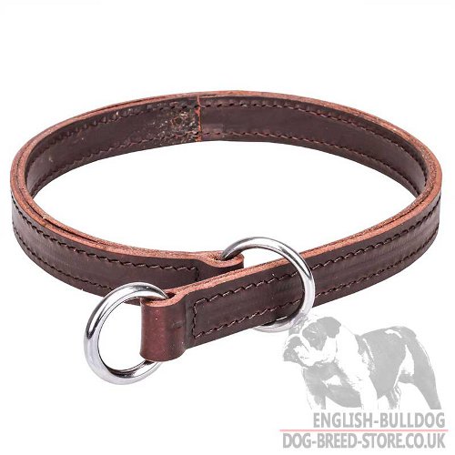 Leather Slip Collar for Bulldog