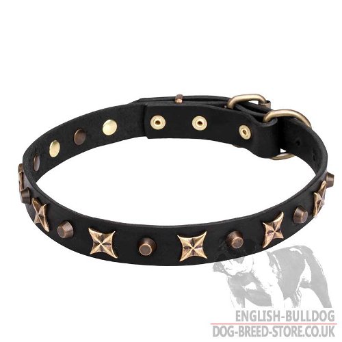 English Bulldog Collar with Stars