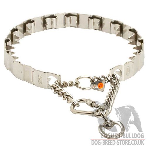 English Bulldog Collar, Neck Tech