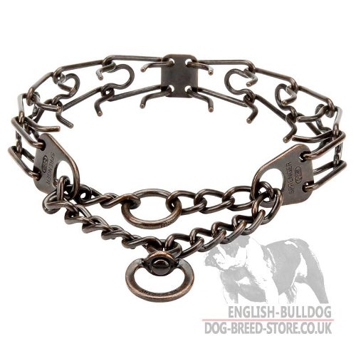 English Bulldog Collar, Antique Copper Plated