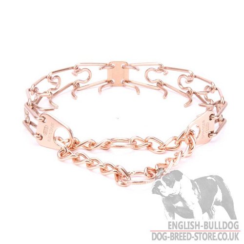 English Bulldog Collar, Curogan Alloy