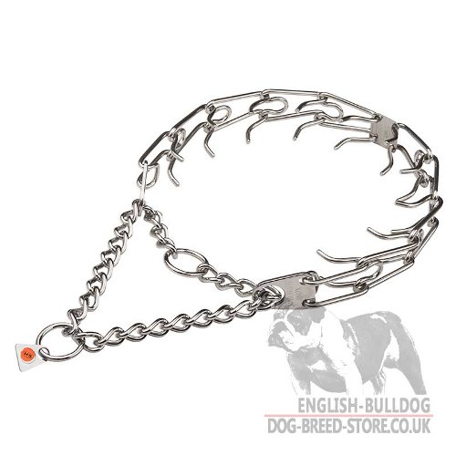 English Bulldog Collar, Pinch