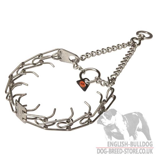 English Bulldog Collar, Pinch