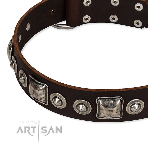 English Bulldog Collar UK