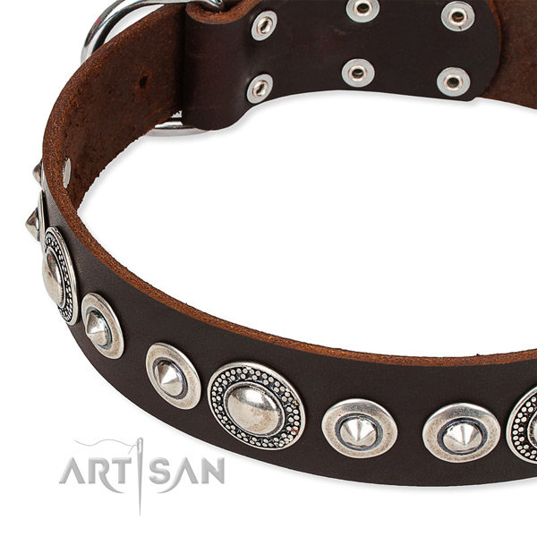 English Bulldog Collar UK