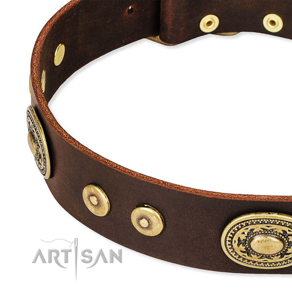 English Bulldog Collar UK