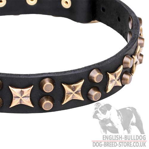 English Bulldog Collar UK