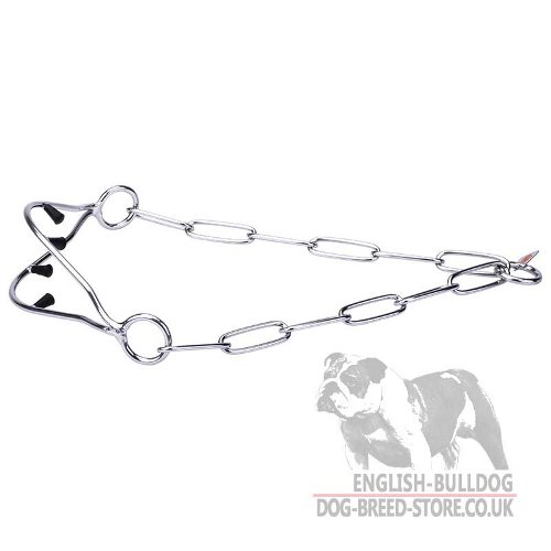 English Bulldog Collar, Show