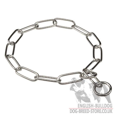 English Bulldog Dog Collar, Large Links