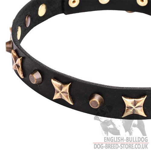 English Bulldog Collar UK